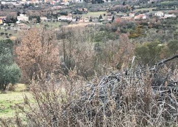 Foto 1 - Terreno agricolo Foglianise
 
snc, Foglianise - foto 1