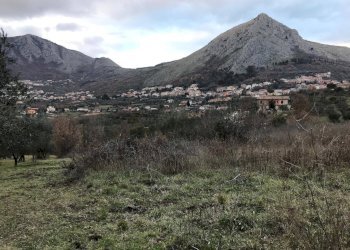 Foto 2 - Terreno agricolo Foglianise
 
snc, Foglianise - foto 2