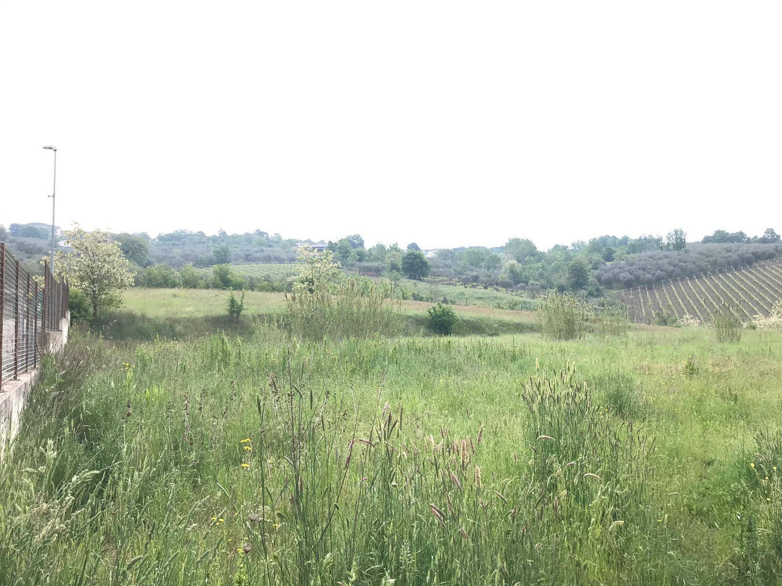 Foto 3 - Agricultural land Foglianise, Benevento - photo 3