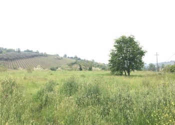 Foto 1 - Terreno agricolo Foglianise, Benevento - foto 1