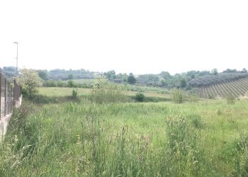 Foto 3 - Terreno agricolo Foglianise, Benevento - foto 3