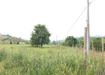 Foto 5 - Terreno agricolo Foglianise, Benevento - foto 5