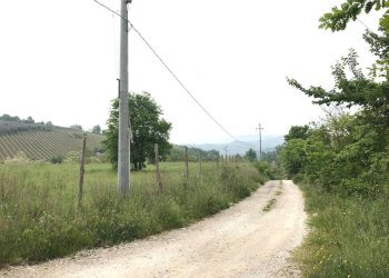 Foto 6 - Terreno agricolo Foglianise, Benevento - foto 6