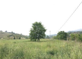 Foto 7 - Terreno agricolo Foglianise, Benevento - foto 7