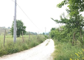 Foto 8 - Terreno agricolo Foglianise, Benevento - foto 8