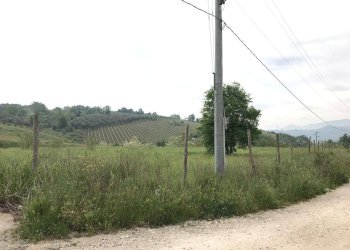 Foto 9 - Terreno agricolo Foglianise, Benevento - foto 9