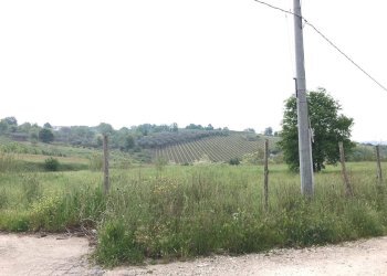 Foto 11 - Terreno agricolo Foglianise, Benevento - foto 10