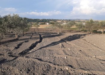 Foto 15 - Independent house Pietrelcina, Pietrelcina - photo 15