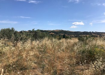 Foto 17 - Independent house Pietrelcina, Pietrelcina - photo 17