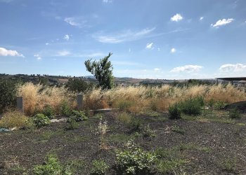 Foto 18 - Independent house Pietrelcina, Pietrelcina - photo 18