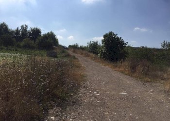 Foto 3 - Terreno agricolo Contrada Fontana Margiacca, Benevento - foto 3