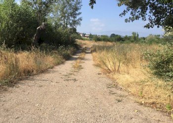 Foto 4 - Terreno agricolo Contrada Fontana Margiacca, Benevento - foto 4
