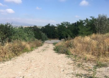 Foto 5 - Terreno agricolo Contrada Fontana Margiacca, Benevento - foto 5