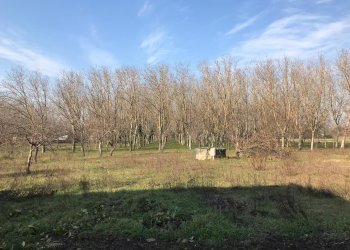 Foto 8 - Terreno edificabile Santa Clementina, Benevento - foto 8