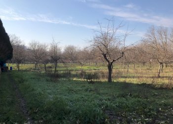 Foto 10 - Terreno edificabile Santa Clementina, Benevento - foto 10