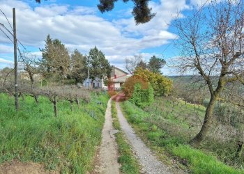 Foto 3 - Casa semi indipendente Contrada Palmenta, Foglianise - foto 3