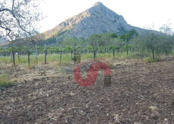 Foto 1 - Terreno agricolo Via Comunale Ospedale, Foglianise - foto 1