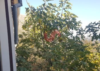 Foto 12 - Semi-detached house frazione san pietro, Vitulano - photo 12