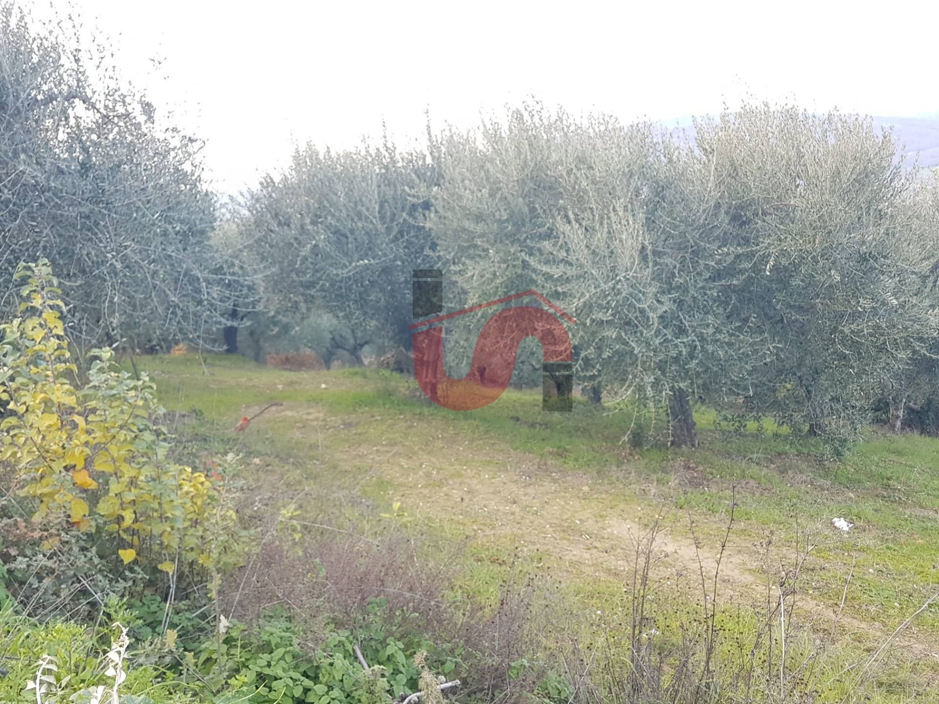Foto 1 - Agricultural land Contrada ponte valentino, Benevento - photo 1
