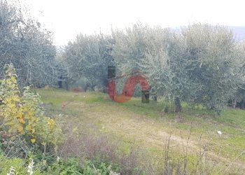 Foto 1 - Terreno agricolo Contrada ponte valentino, Benevento - foto 1