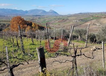 Foto 2 - Terreno agricolo Contrada ponte valentino, Benevento - foto 2