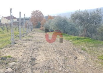 Foto 3 - Terreno agricolo Contrada ponte valentino, Benevento - foto 3