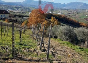 Foto 4 - Terreno agricolo Contrada ponte valentino, Benevento - foto 4