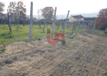 Foto 5 - Terreno agricolo Contrada ponte valentino, Benevento - foto 5