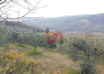 Foto 6 - Terreno agricolo Contrada ponte valentino, Benevento - foto 6