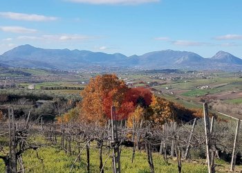 Foto 8 - Terreno agricolo Contrada ponte valentino, Benevento - foto 8