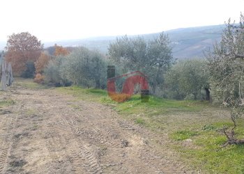 Foto 9 - Terreno agricolo Contrada ponte valentino, Benevento - foto 9