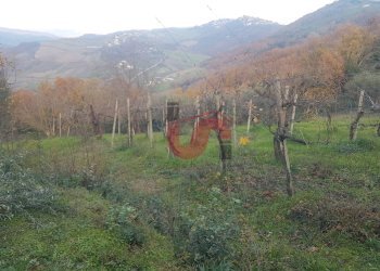 Foto 11 - Terreno agricolo Contrada ponte valentino, Benevento - foto 11