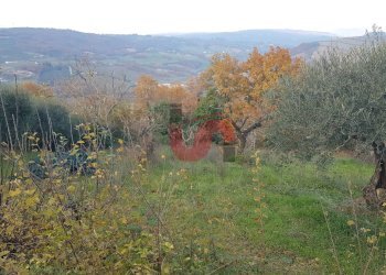 Foto 12 - Terreno agricolo Contrada ponte valentino, Benevento - foto 12