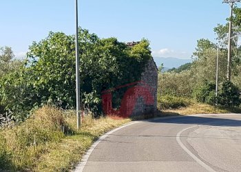 Foto 6 - Rustico Carpineto, Vitulano - foto 6