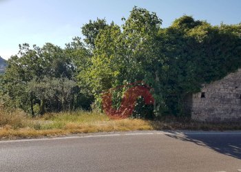 Foto 11 - Rustico Carpineto, Vitulano - foto 11