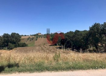 Foto 2 - Terreno edificabile Perrillo, Sant'Angelo a Cupolo - foto 2