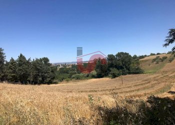 Foto 4 - Terreno edificabile Perrillo, Sant'Angelo a Cupolo - foto 4