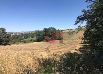 Foto 5 - Terreno edificabile Perrillo, Sant'Angelo a Cupolo - foto 5