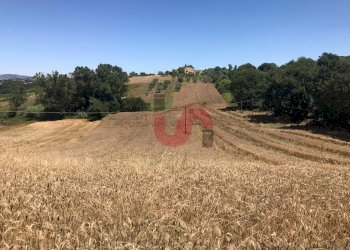 Foto 8 - Terreno edificabile Perrillo, Sant'Angelo a Cupolo - foto 8