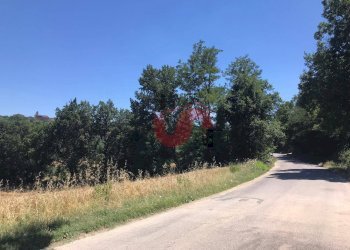 Foto 9 - Terreno edificabile Perrillo, Sant'Angelo a Cupolo - foto 9