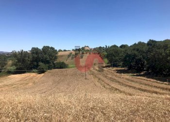 Foto 11 - Terreno edificabile Perrillo, Sant'Angelo a Cupolo - foto 11