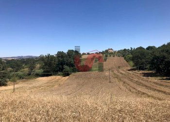 Foto 12 - Terreno edificabile Perrillo, Sant'Angelo a Cupolo - foto 12