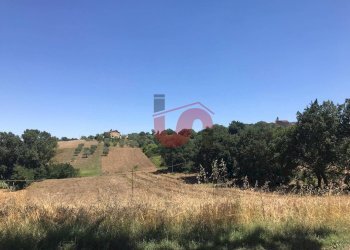 Foto 14 - Terreno edificabile Perrillo, Sant'Angelo a Cupolo - foto 14