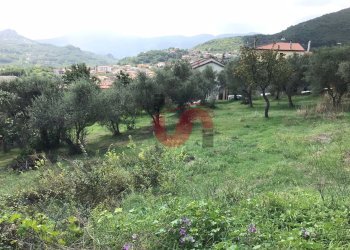 Foto 4 - Terreno agricolo Via Cupetelle, Cautano - foto 4