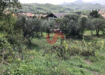 Foto 6 - Terreno agricolo Via Cupetelle, Cautano - foto 6