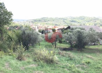 Foto 7 - Terreno agricolo Via Cupetelle, Cautano - foto 7