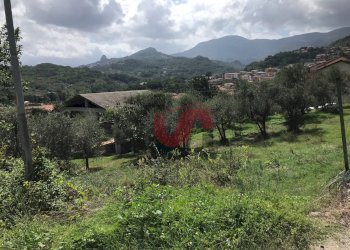 Foto 9 - Terreno agricolo Via Cupetelle, Cautano - foto 9