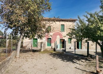 Foto 4 - Rustico Contrada Paritola
snc, San Nicola Manfredi - foto 4