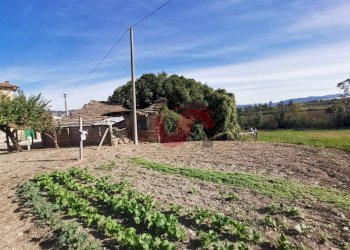 Foto 10 - Rustico Contrada Paritola
snc, San Nicola Manfredi - foto 10