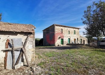 Foto 40 - Rustico Contrada Paritola
snc, San Nicola Manfredi - foto 40